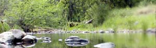 Sulpher Creek Stream Restoration Redding CA